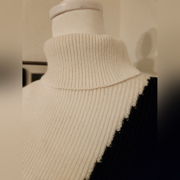 Lindy Turtleneck Sweater Dress - Picture 5 of 8